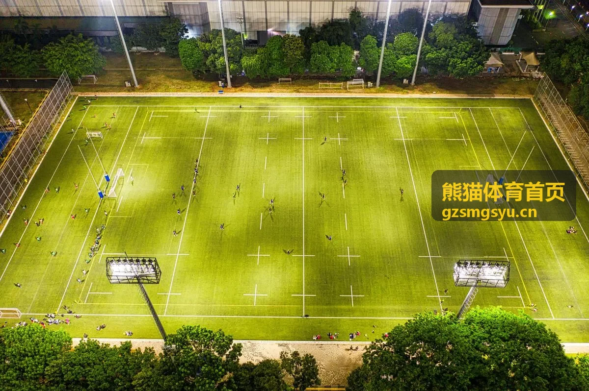 熊猫体育首页赛事资讯全景视觉