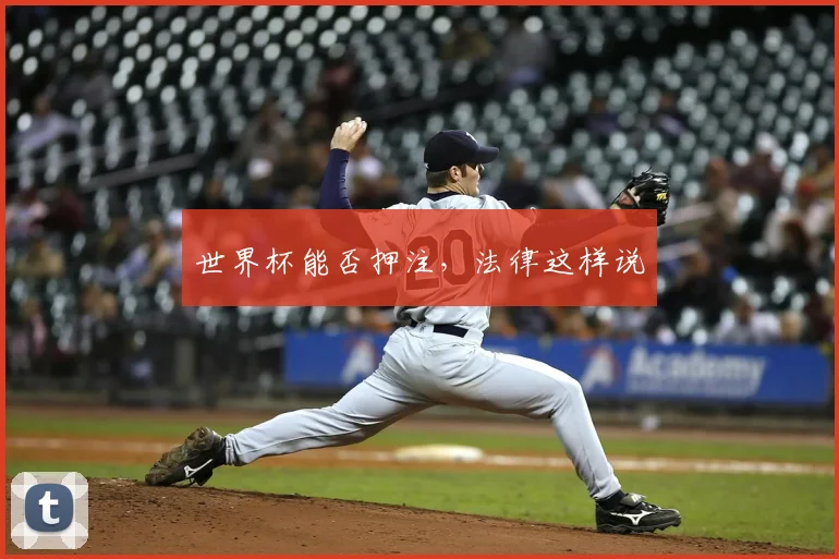 世界杯能否押注,法律这样说