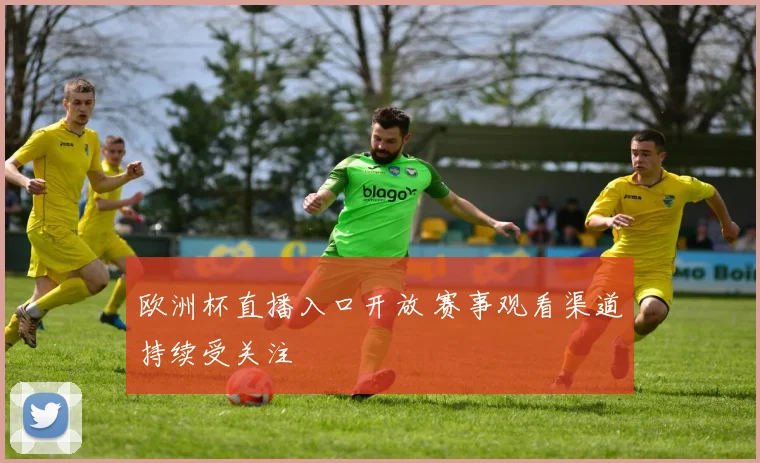 欧洲杯直播入口开放 赛事观看渠道持续受关注