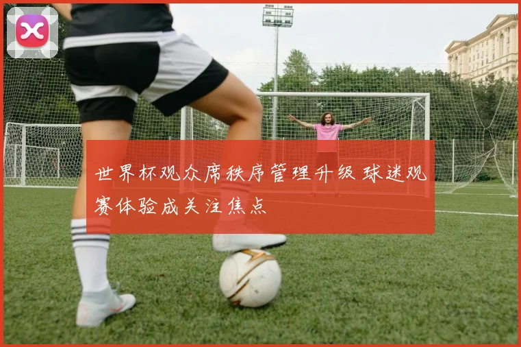 世界杯观众席秩序管理升级 球迷观赛体验成关注焦点