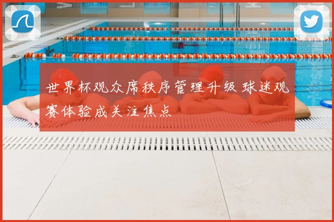世界杯观众席秩序管理升级 球迷观赛体验成关注焦点