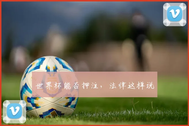 世界杯能否押注,法律这样说